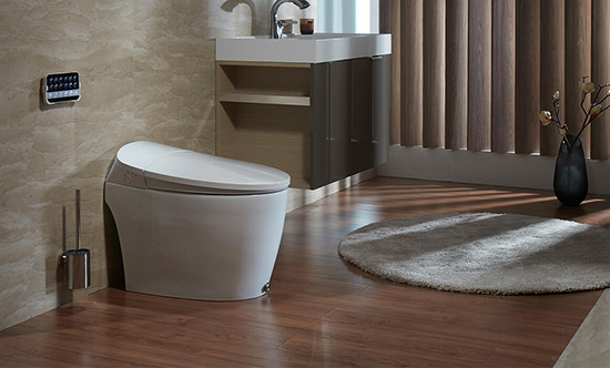 Smart Toilet